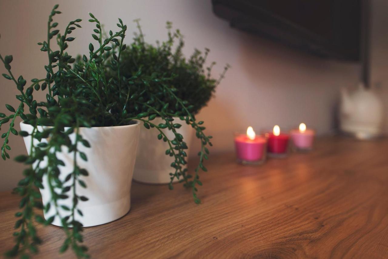 Apartamenty Willove Wzgorze Duszniki Zdrój Extérieur photo